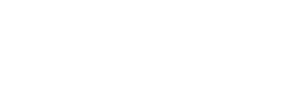 Bear Family Haven